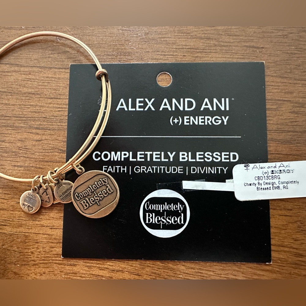 Alex and Ani Gold Charm Bracelet